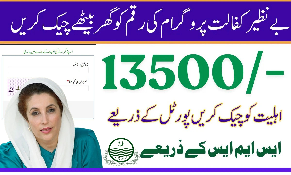 BISP 8171 Online Eligibility Check for 13500 Payment in 2025 – Complete Guide