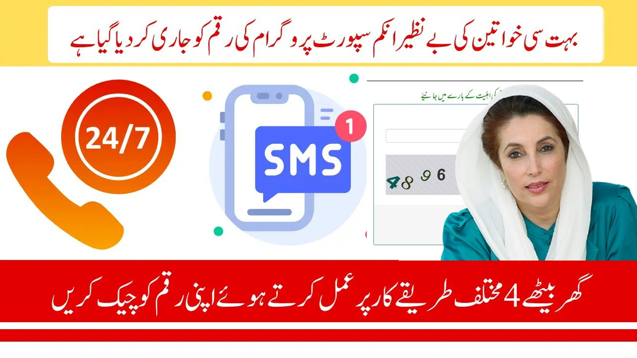 BISP 8171 Payment Check: 4 Easy Ways to Verify Your Payment Status (Latest Update 2025)